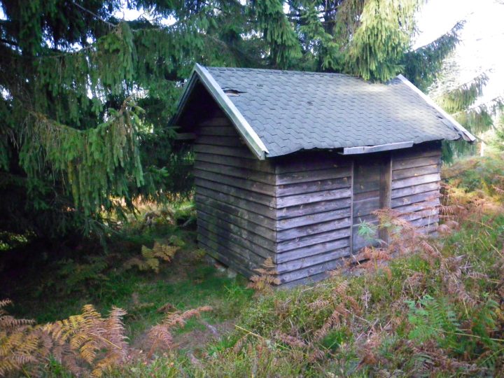 Chalet du Frientz