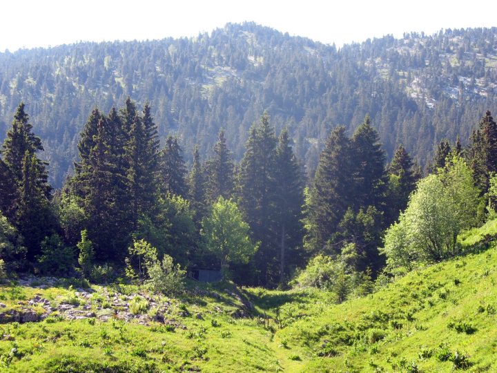 Abri Sous le Col du Pertuis