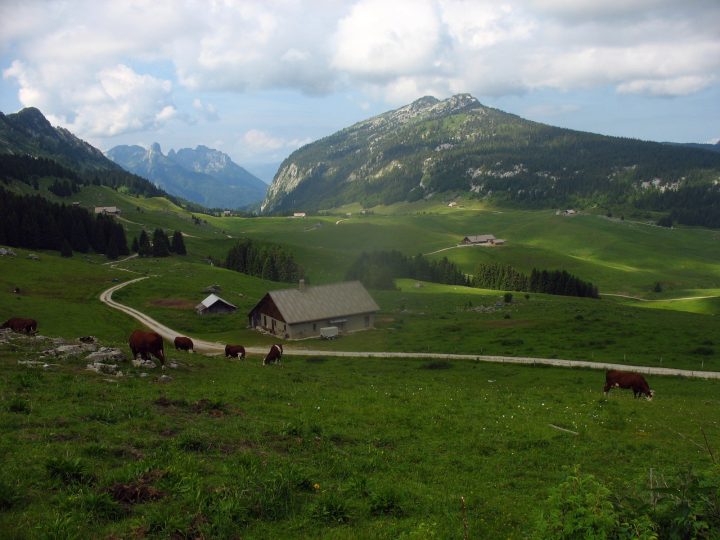 Abri du chalet du Pas du Loup