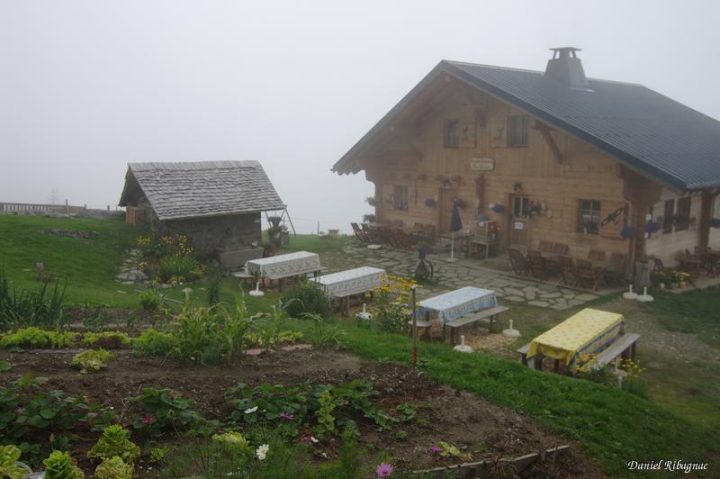 Buvette de Bonavau