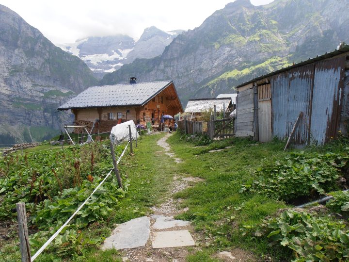 Buvette de Bonavau