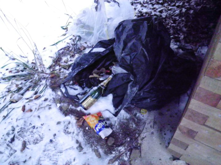 Cabane Hermann