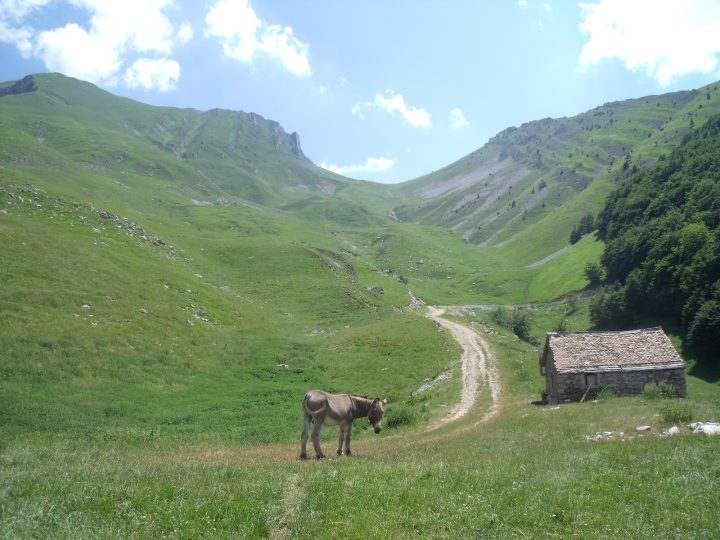 Cabane des Pâtres