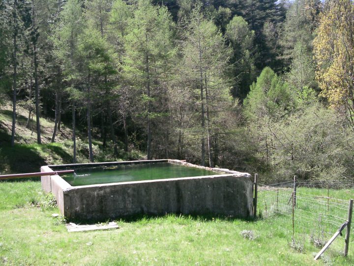 Gîte forestier de Couais