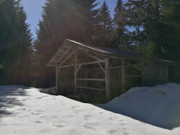 Bois de Caboules