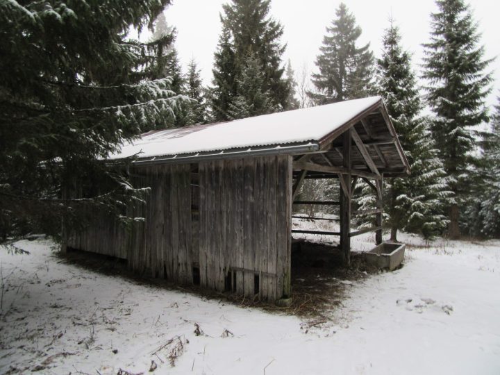 Bois de Caboules