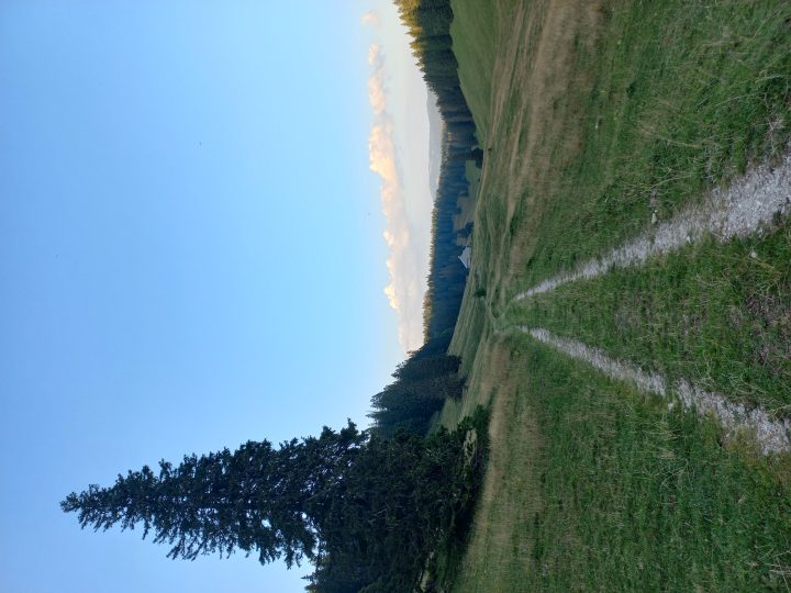 Les Begnines