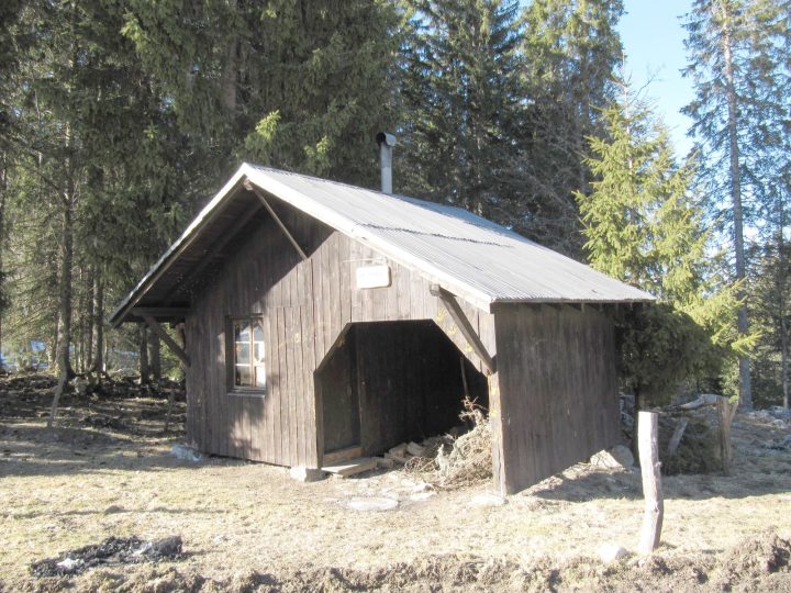 La Rinaldi