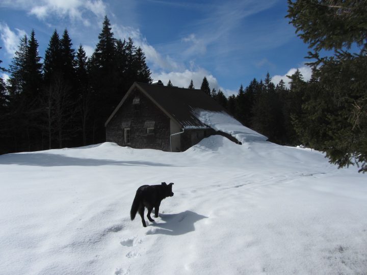 Le Poste des Mines