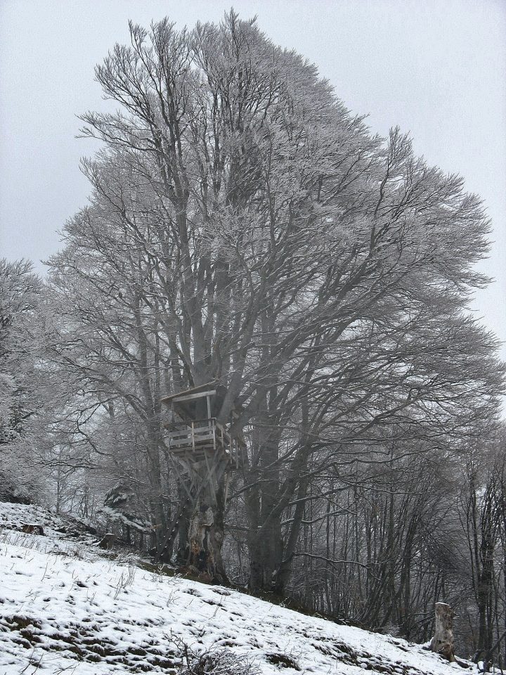 Abri de Vété