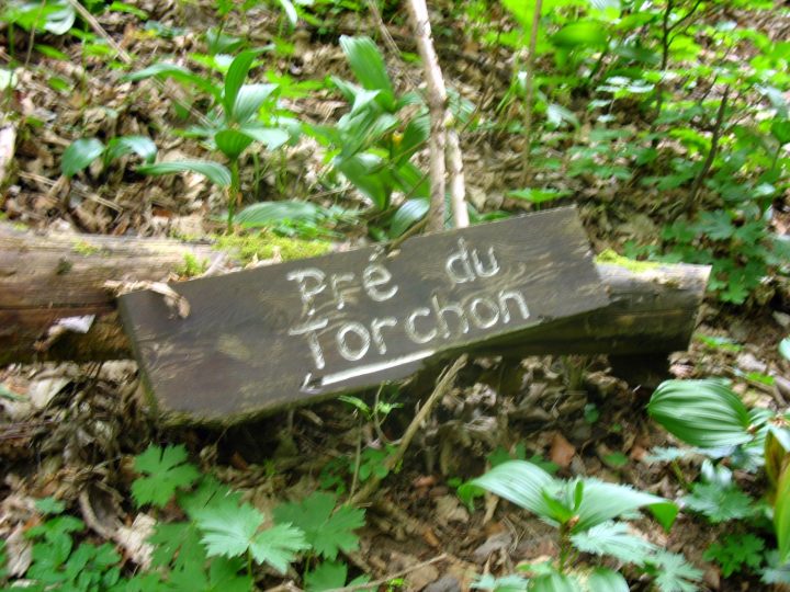 Abri du Torchon