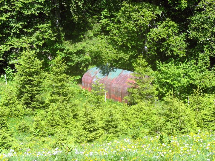 Chalet du Mont