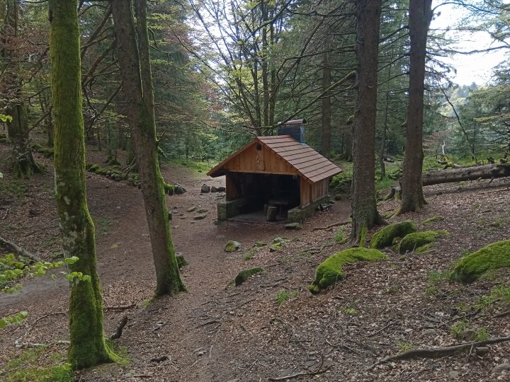 Chaume des Wintergés