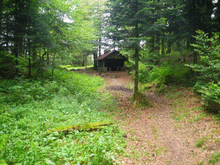 Chaume des Wintergés