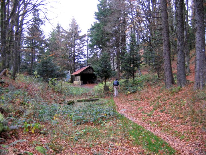 Chaume des Wintergés