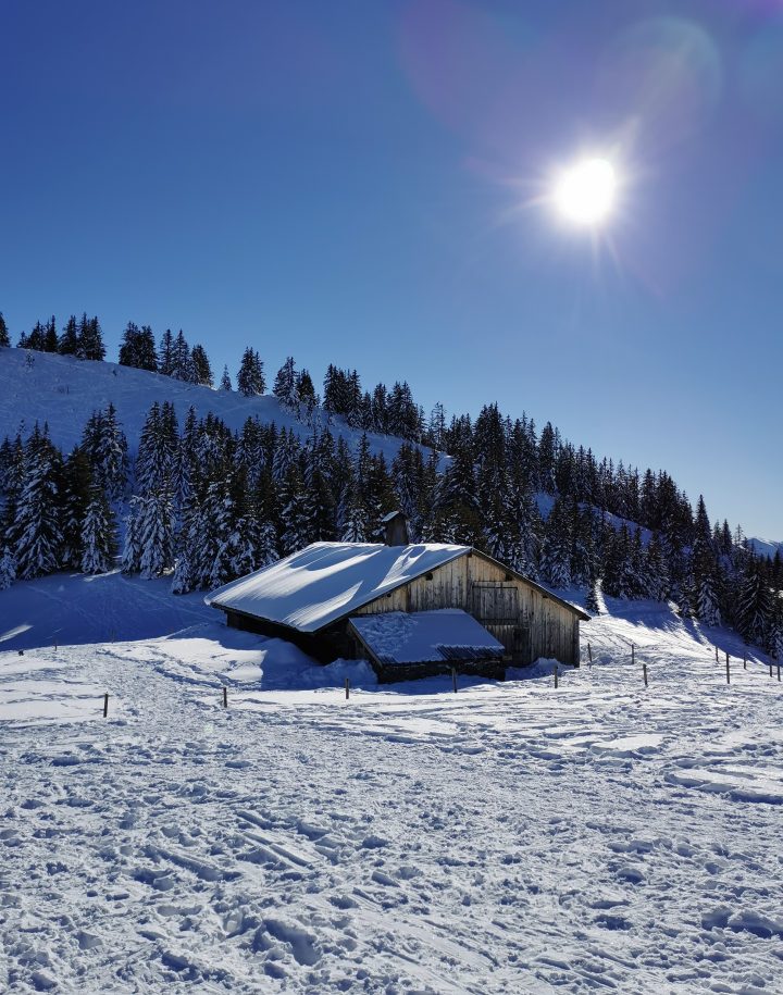 Abri du Chalet de Colomban d'en Haut