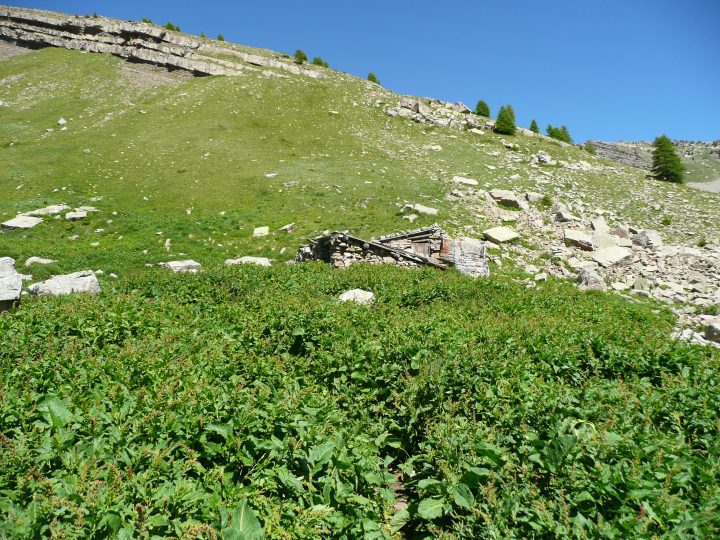 Cabane de la Séléta