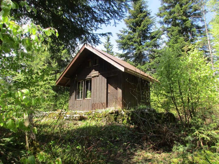 La Sauvageonne