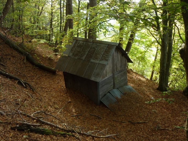 Abri forestier du St Genix