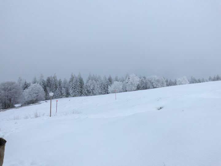 Chalet des Champis