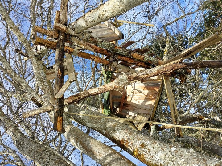 Cabane perchée de Pré Bouclier