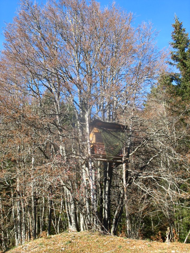 Cabane perchée de Pré Bouclier
