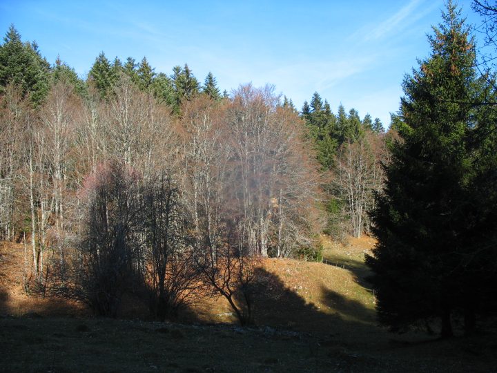 Cabane perchée de Pré Bouclier