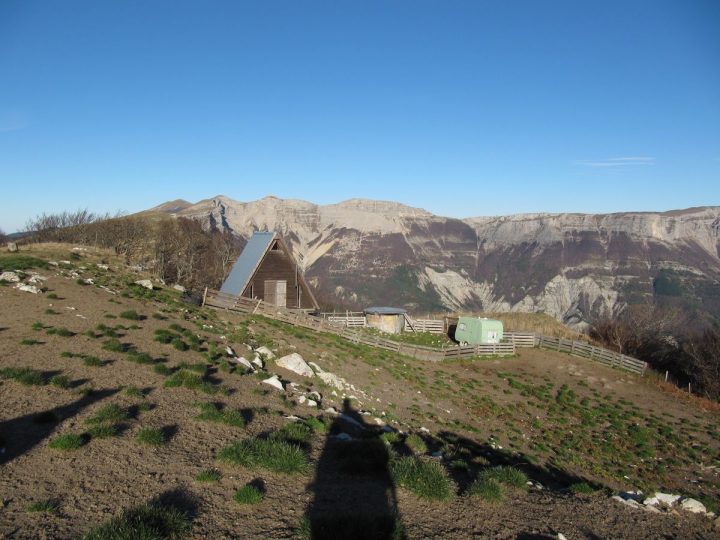 Bergerie prés du plateau d'Ambel
