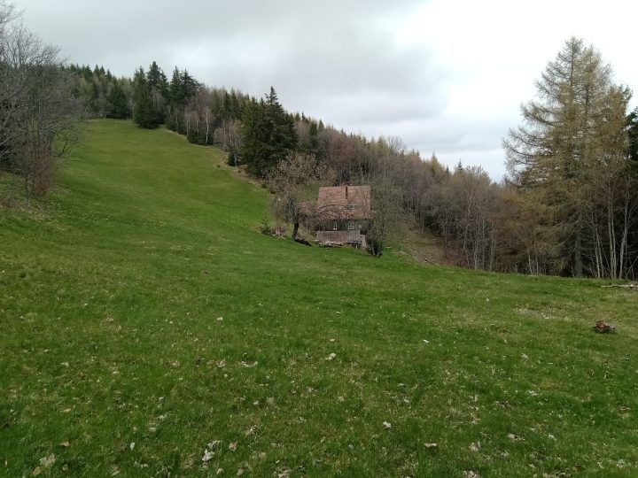 La Schellimatt