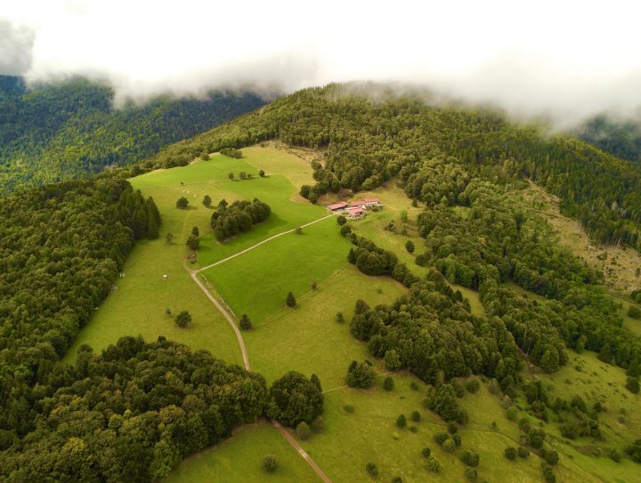 Lagerwald Hütte (Le Gresson)