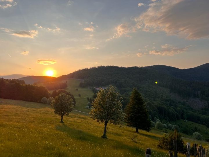 Lagerwald Hütte (Le Gresson)