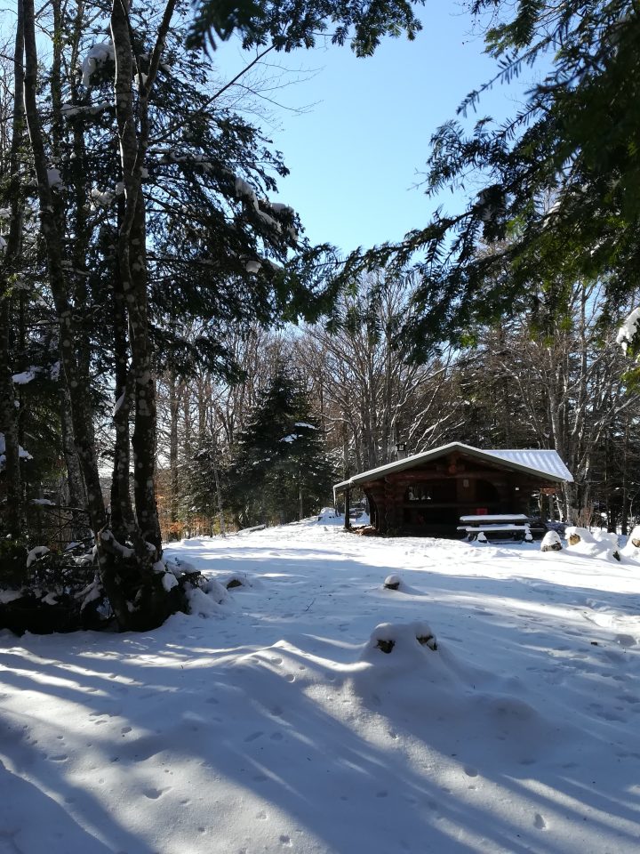 Lagerwald Hütte (Le Gresson)