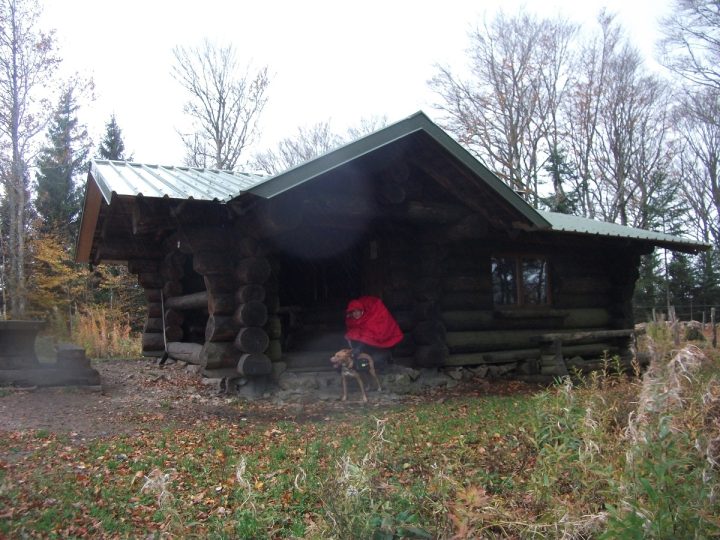Lagerwald Hütte (Le Gresson)