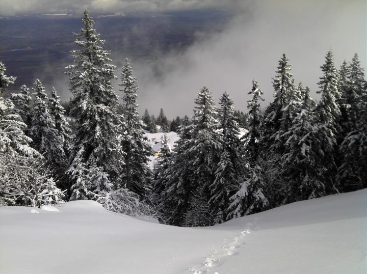 Chalet Bizot