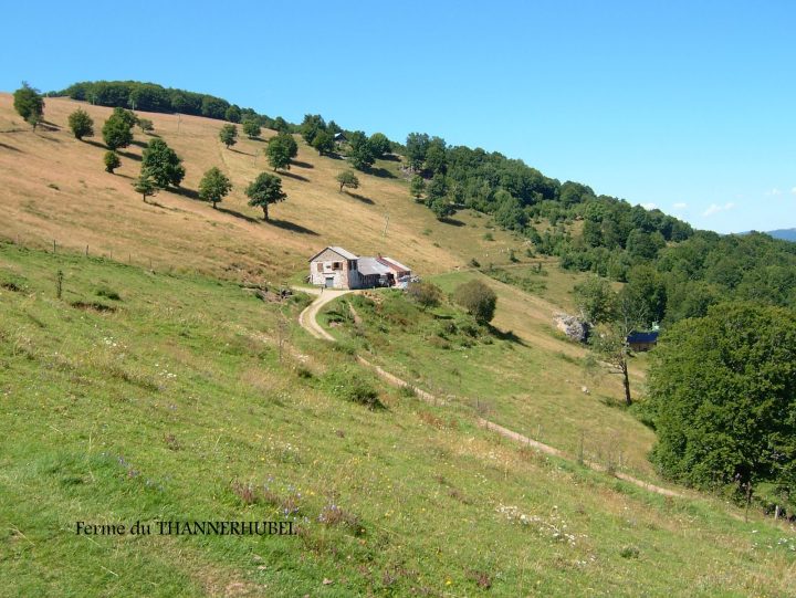 Ferme-auberge du Thannerhubel