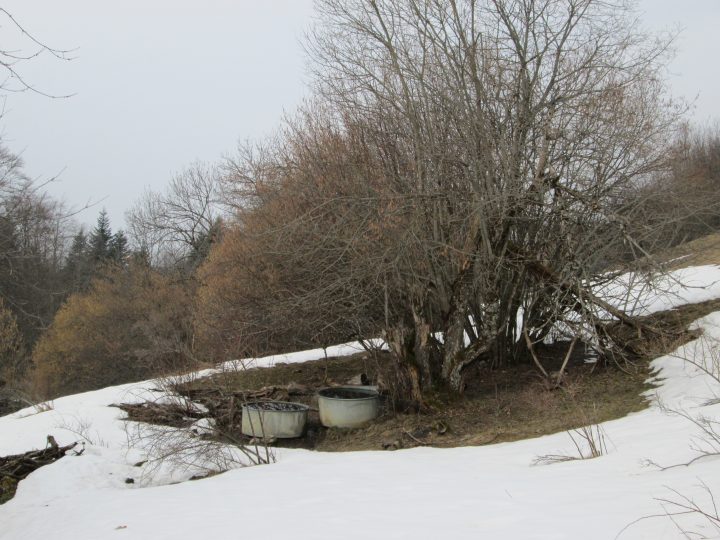 Abri des Granges du Perchet (Haut)