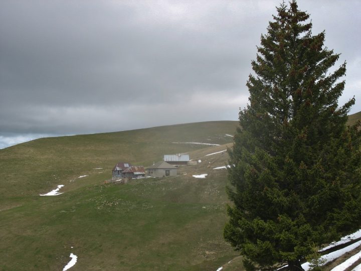 Chalets de Gruffy