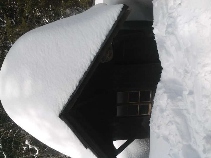 La Pince Motte