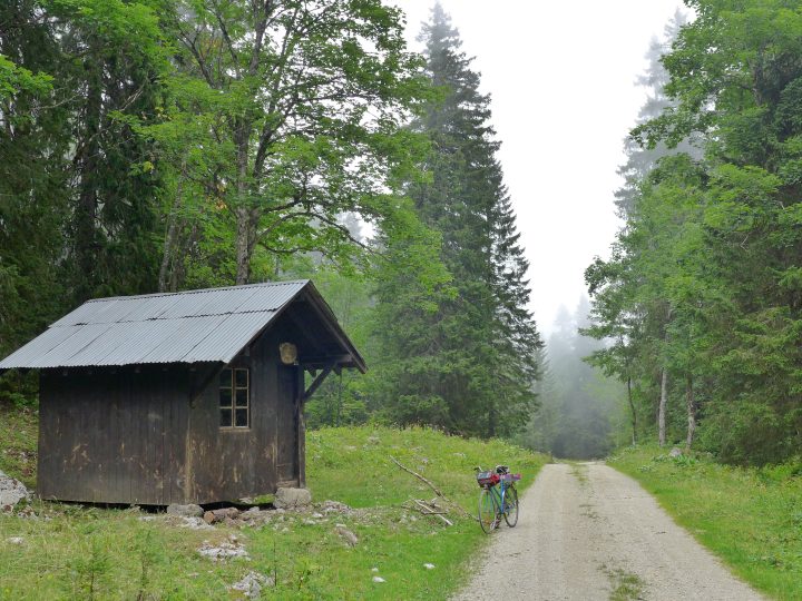 La Pince Motte