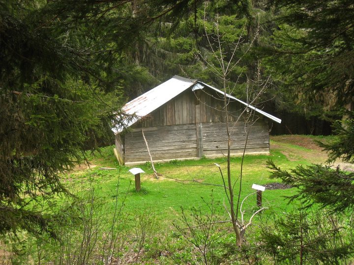 Chalet des Frasses
