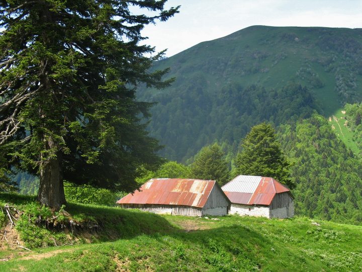 Chalet Ducrey