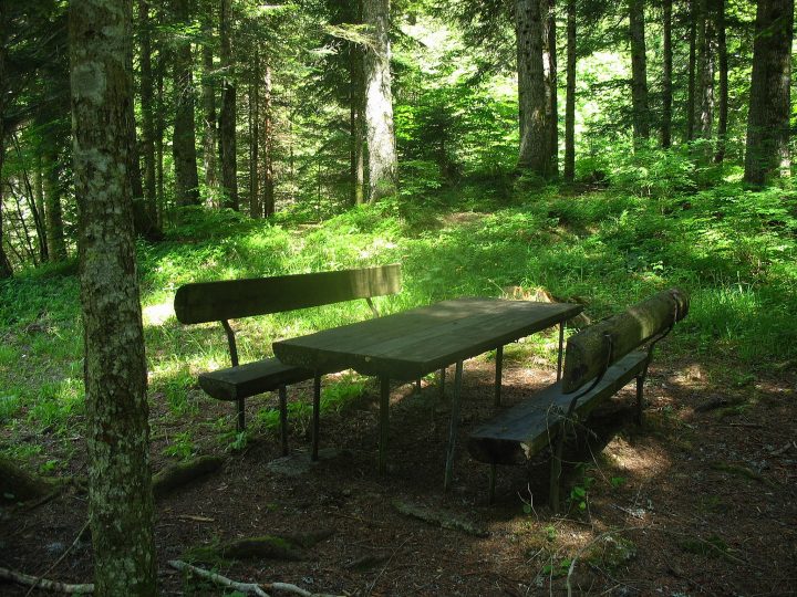 Chalet du Mollard du Nid