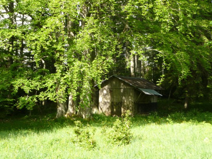 Abri du col de Rioupeysson