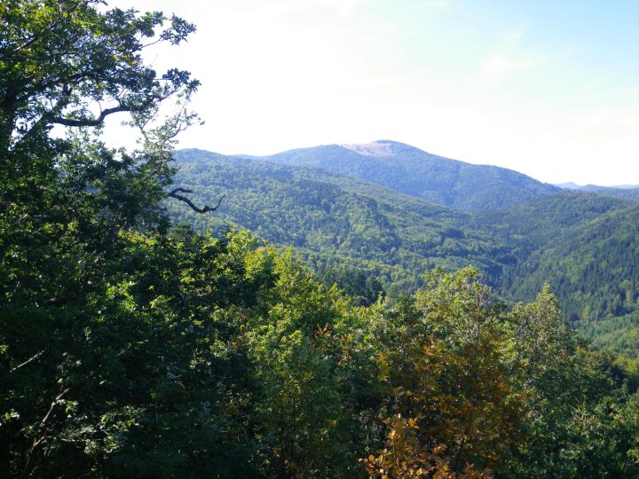 Chalet Zuber