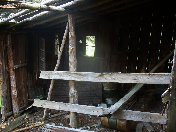 Cabane ruinée de la forêt de Côte Chèvre