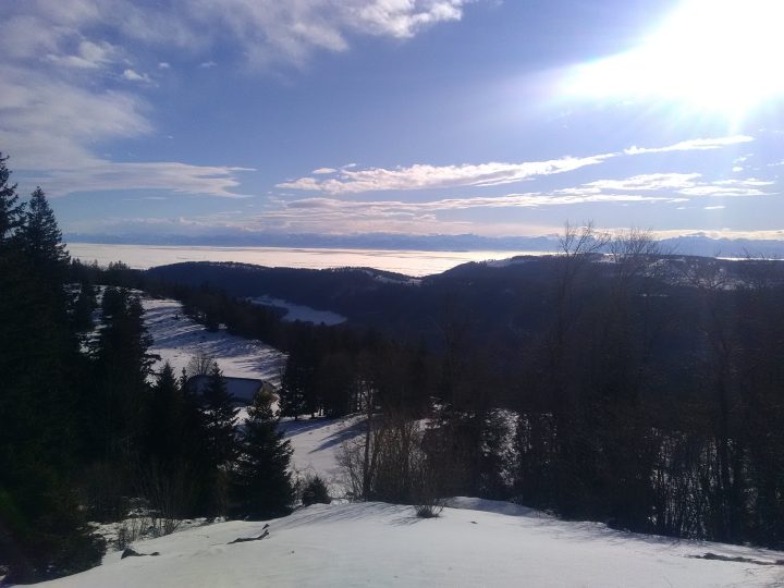 Cabane de la Gym ou du Mont d'Or - Bellevue