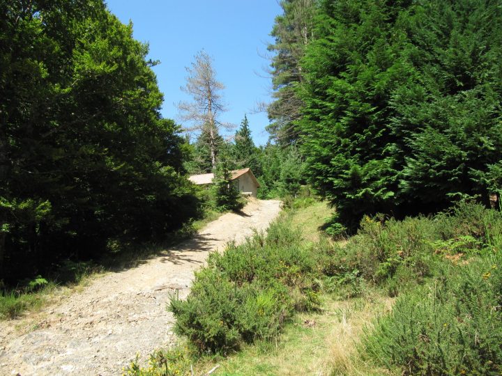 Chalet forestier de la Soule