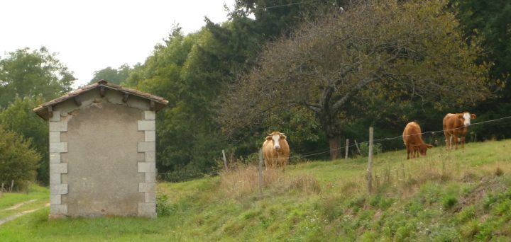 Abri Les Nonieres