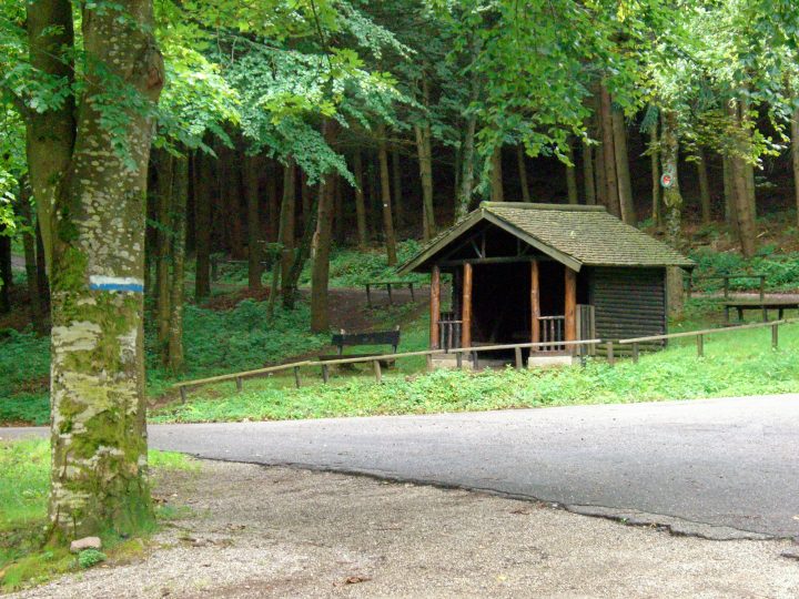 Abri du Plan Diebold-Scherrer