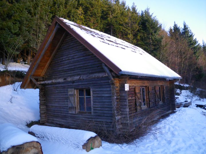 Tannhütte